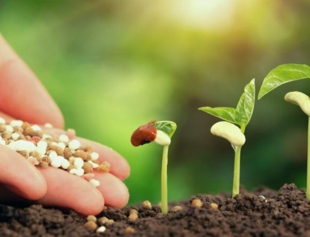 Harvesting Innovation: The World of Fertilizer Additives Manufacturers